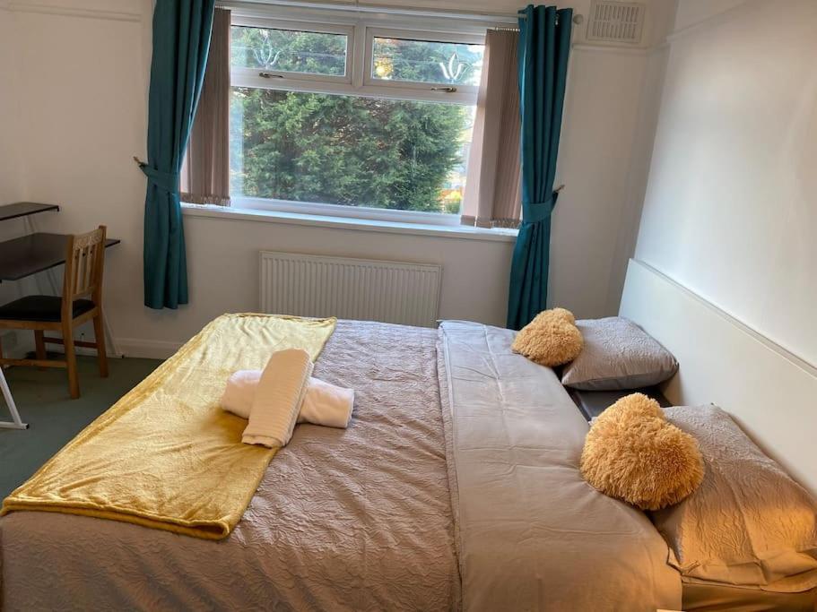 The Gold Vakantiehuis *
